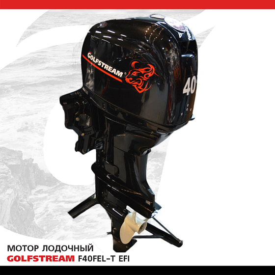 Изображение товара Лодочный мотор Golfstream F40 FEL-T-EFI