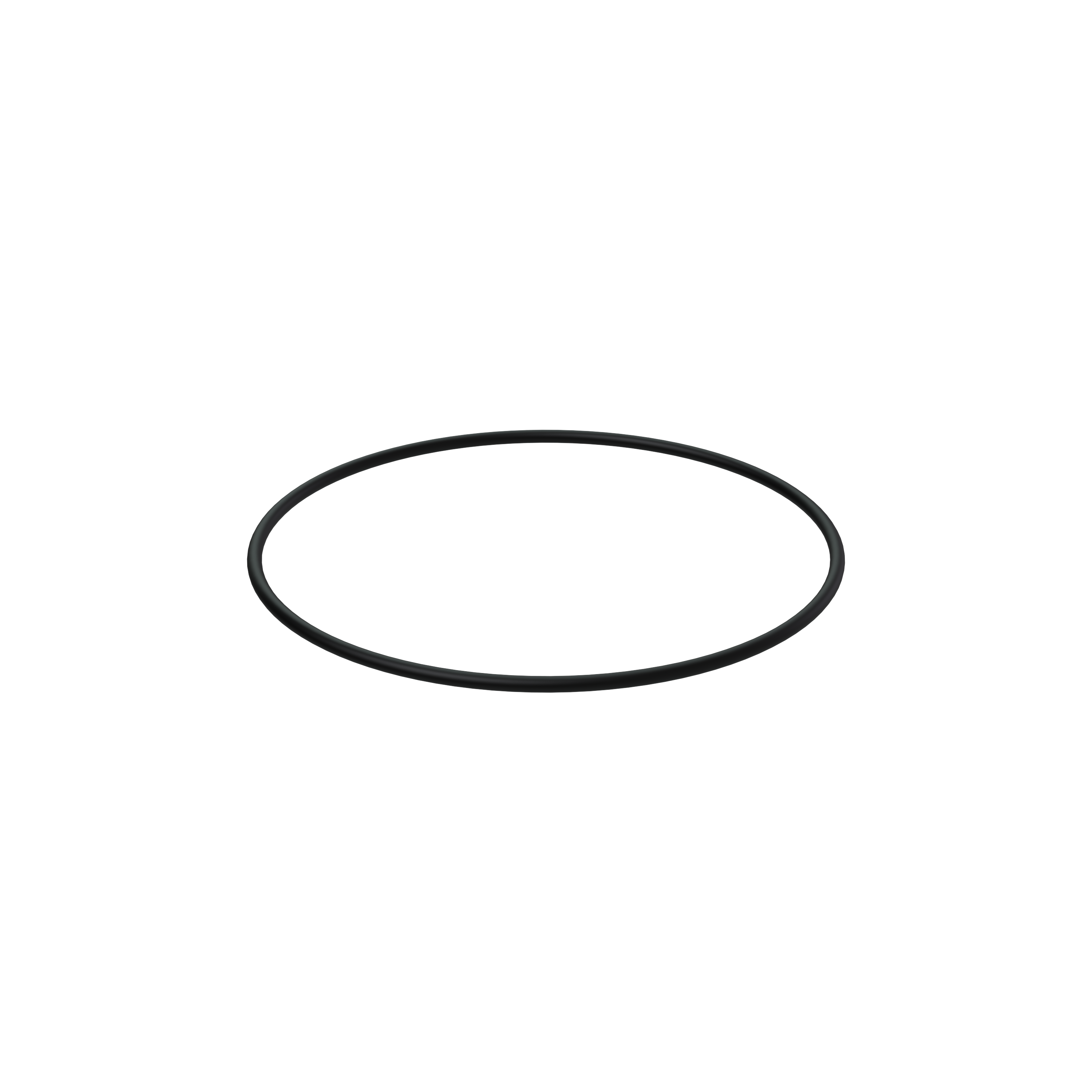 Изображение товара O-ring