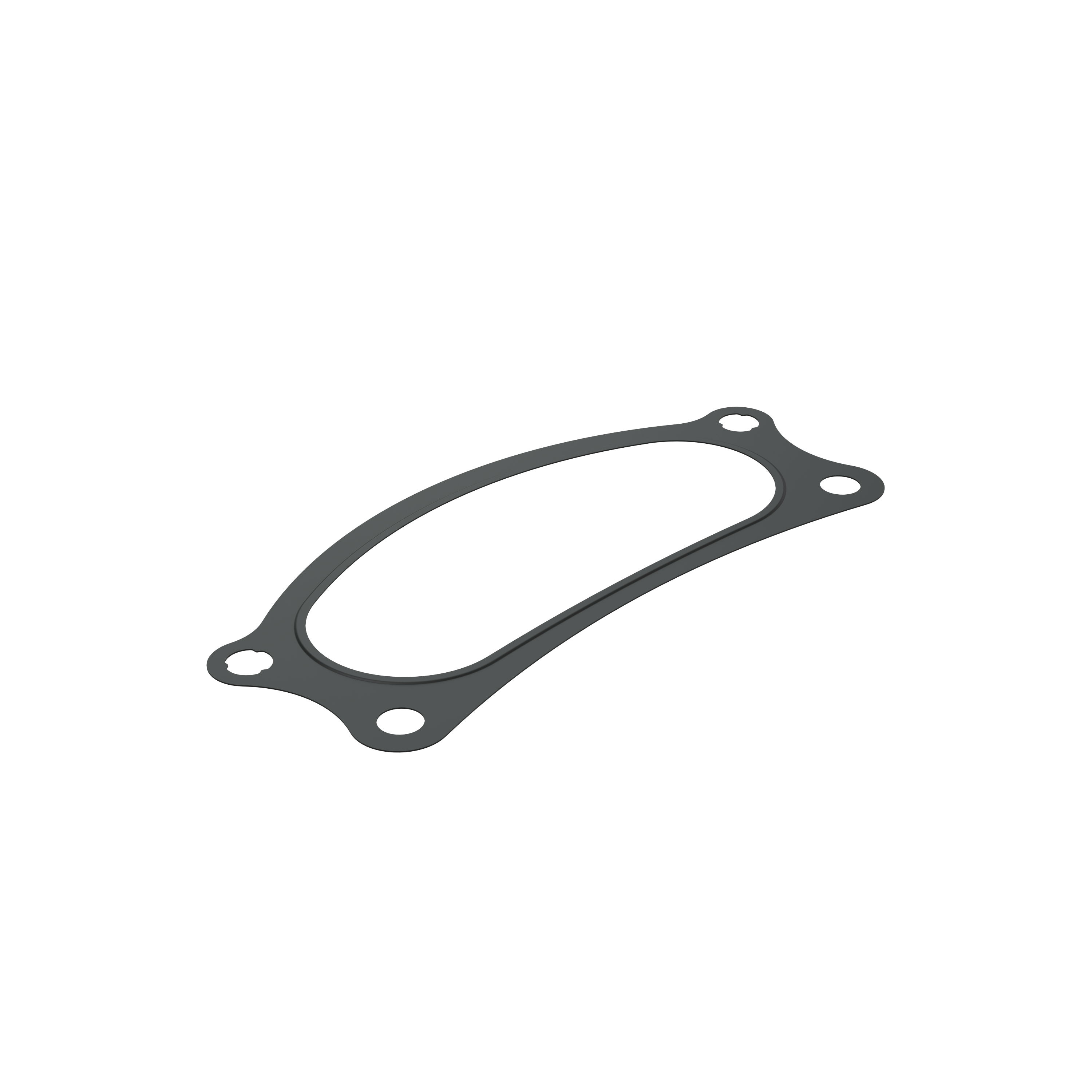 Изображение товара Gasket