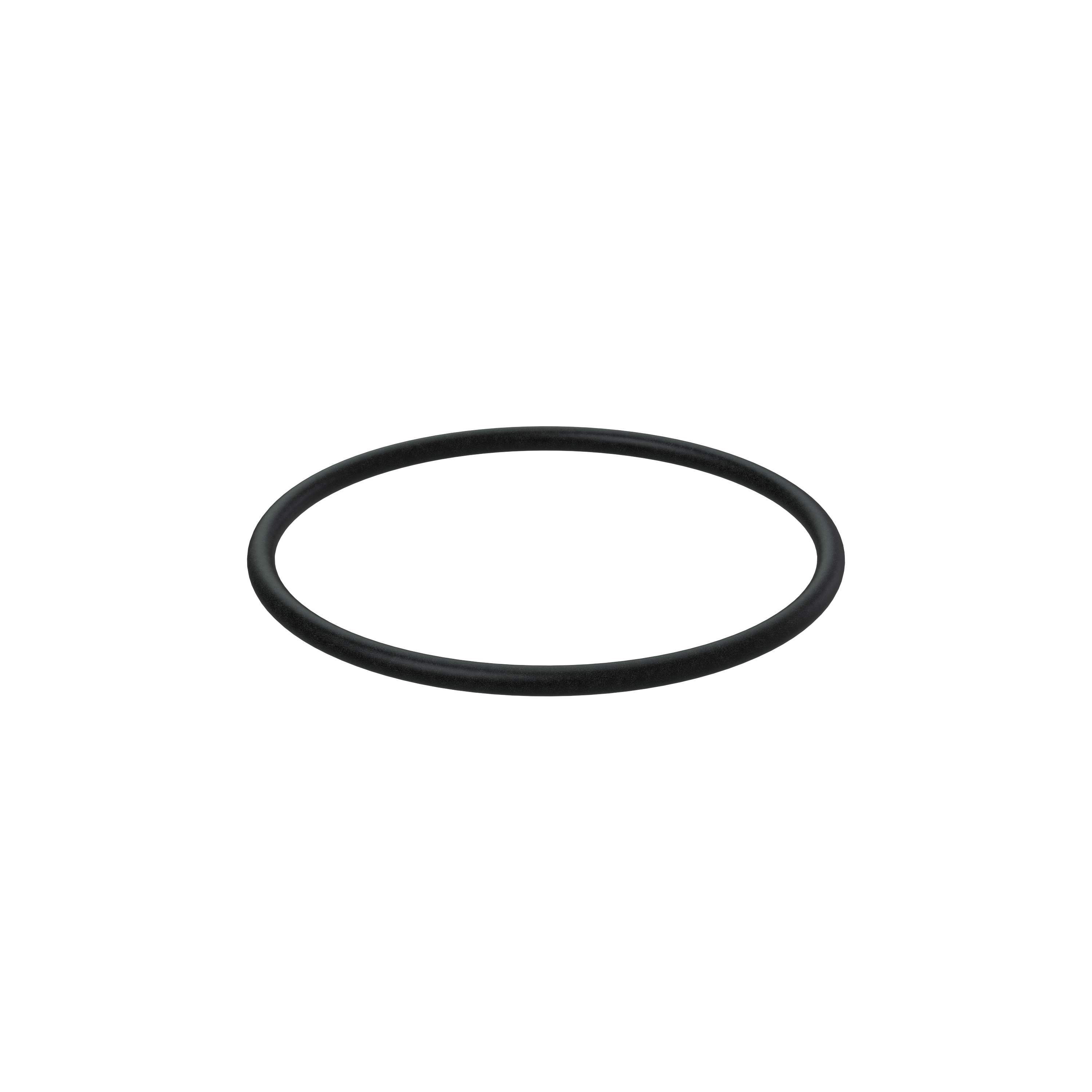 Изображение товара O-ring