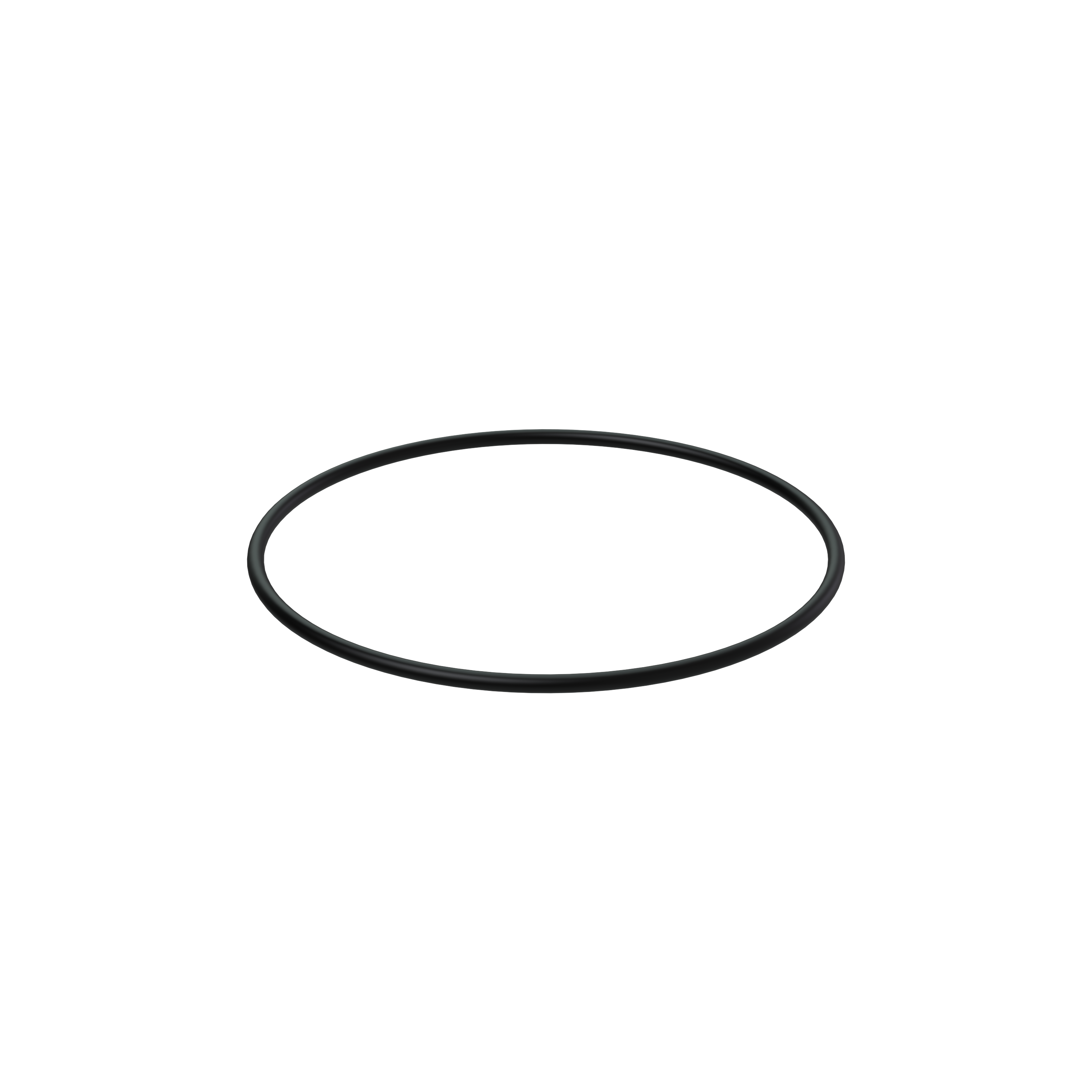 Изображение товара O-ring