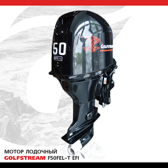 Изображение товара Лодочный мотор Golfstream F50 FEL-T-EFI
