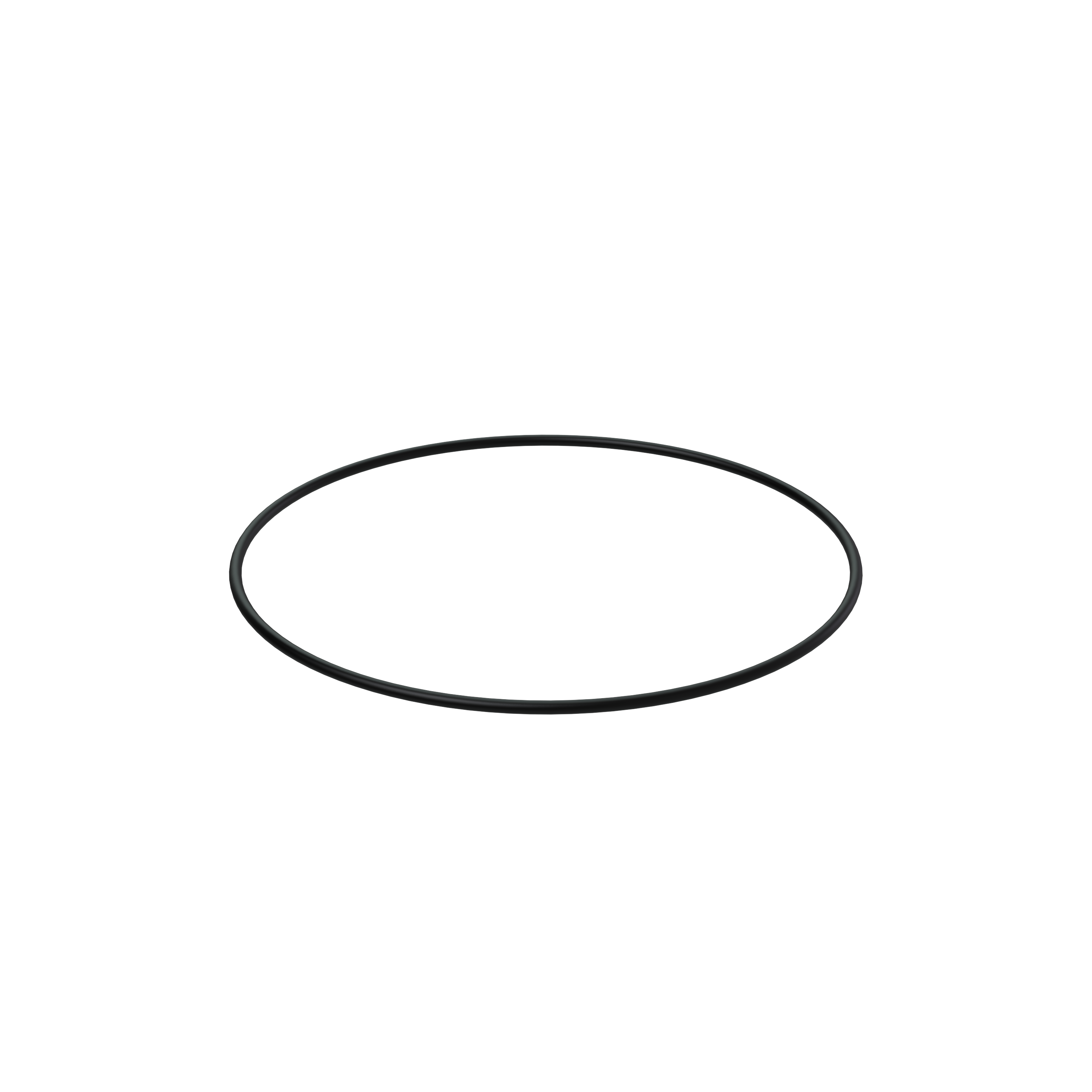 Изображение товара O-ring