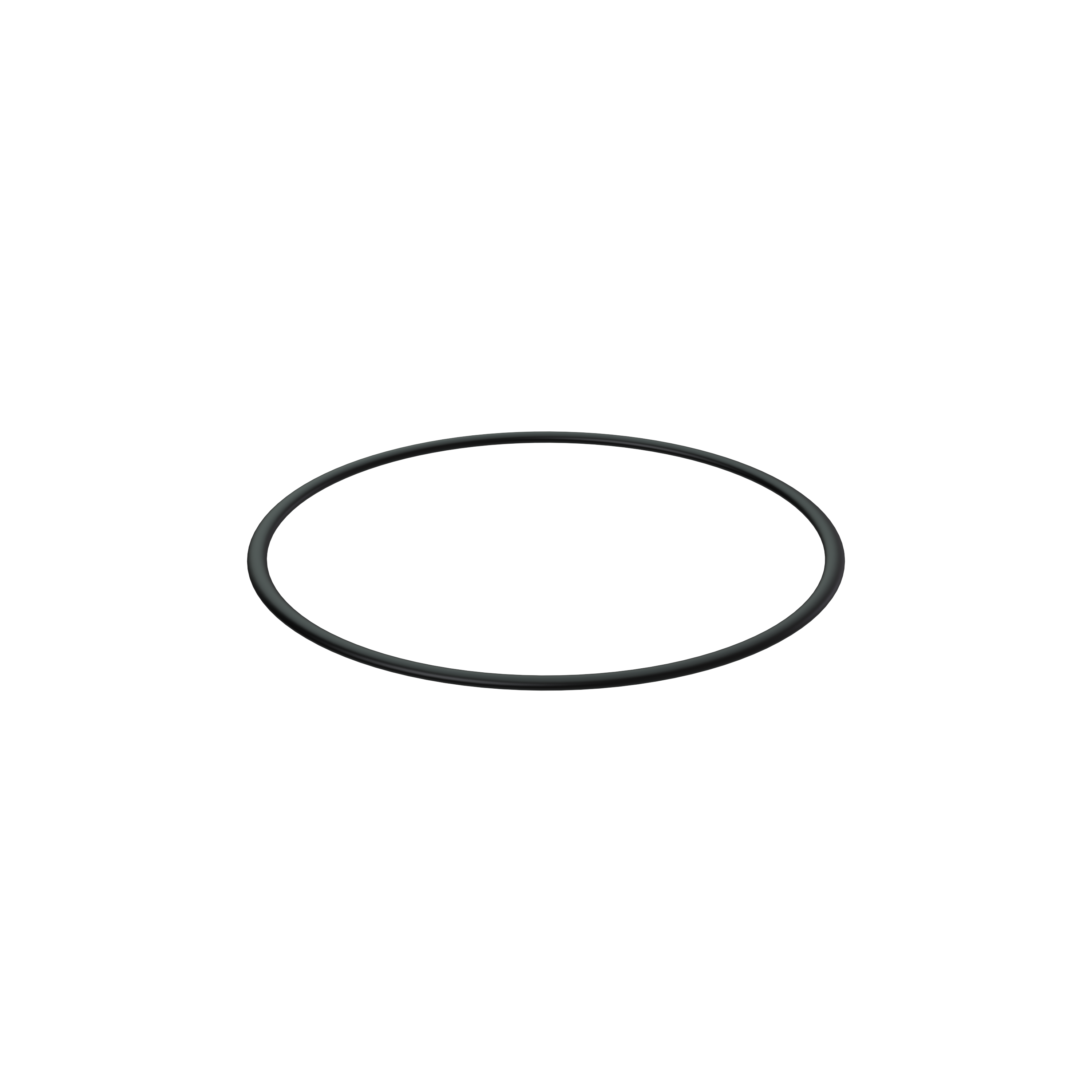 Изображение товара O-ring