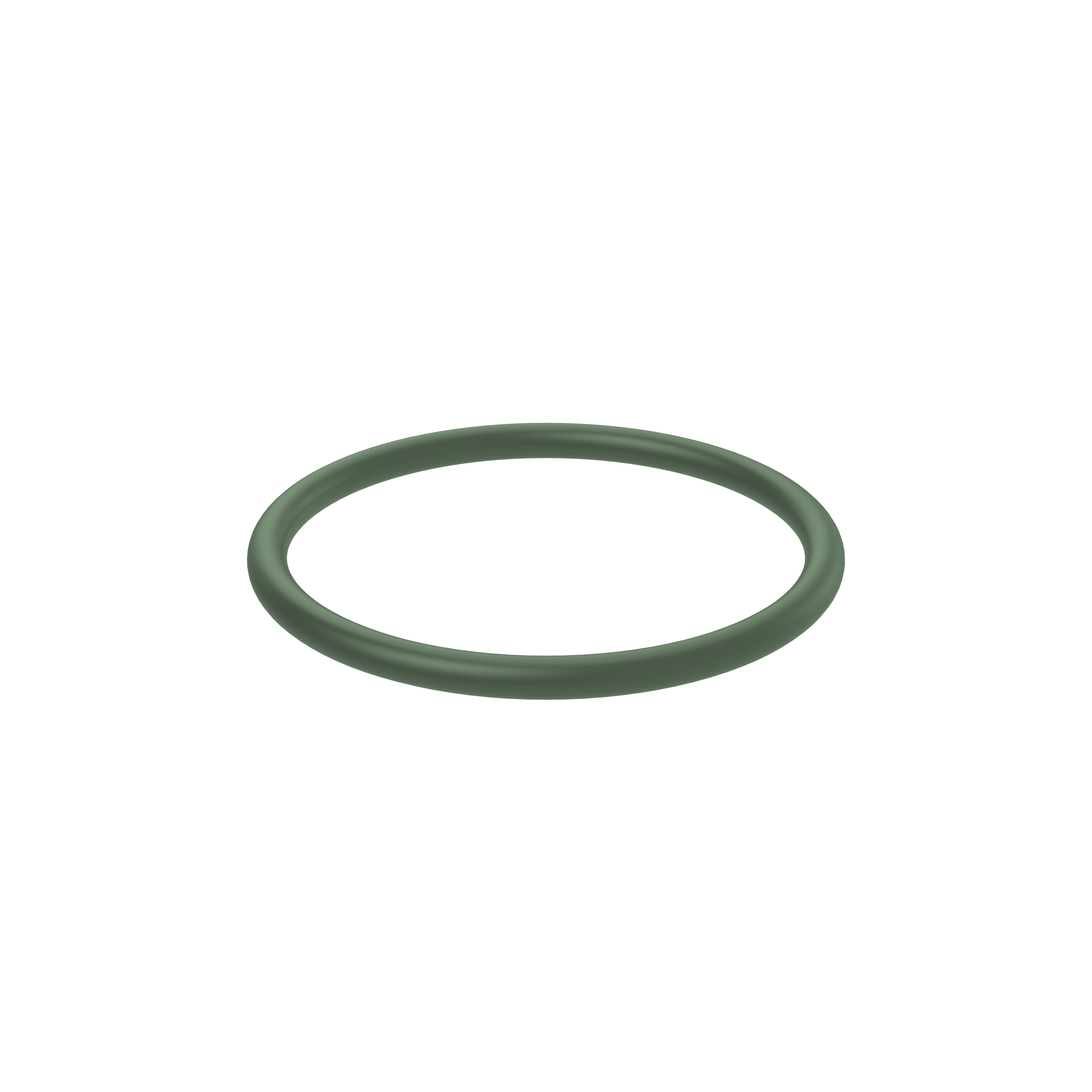 Изображение товара O-ring
