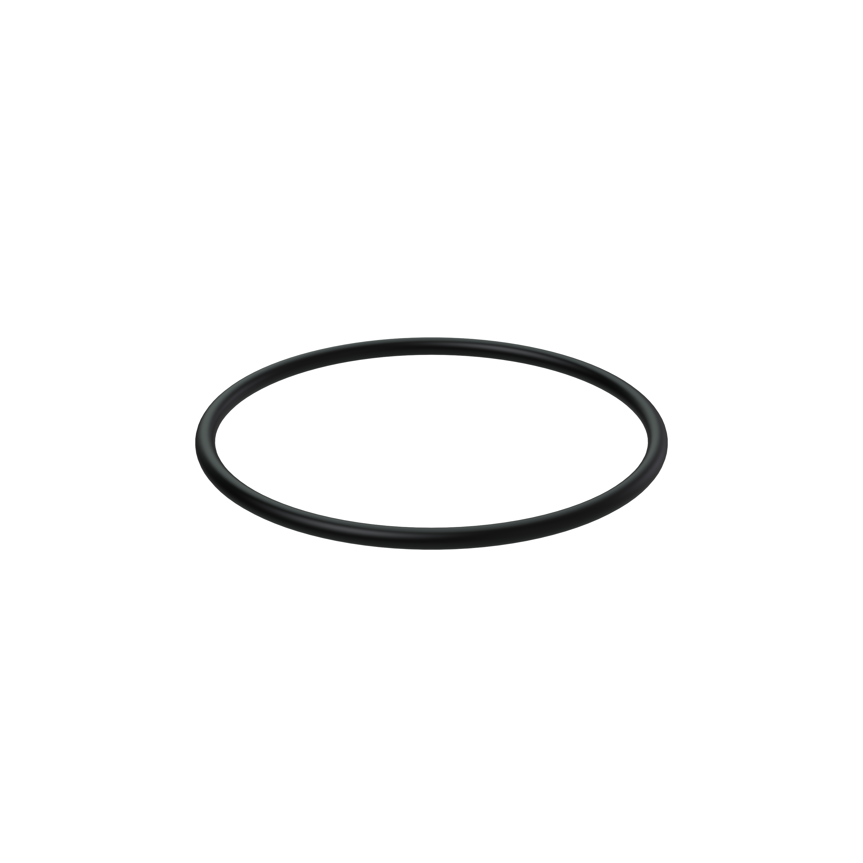 Изображение товара O-ring