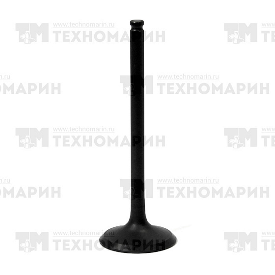 Изображение товара Выпускной клапан BRP AU-09201E