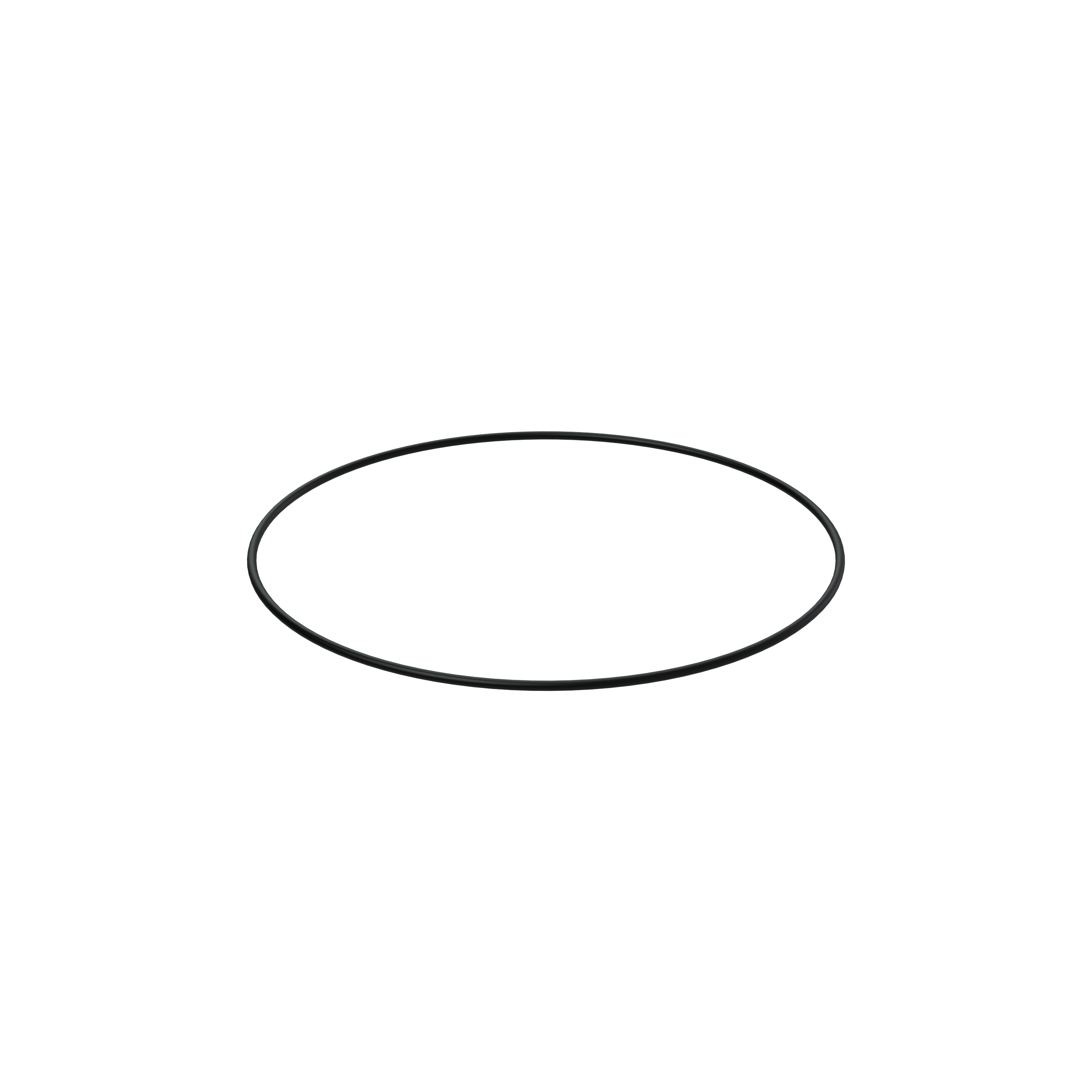 Изображение товара O-ring
