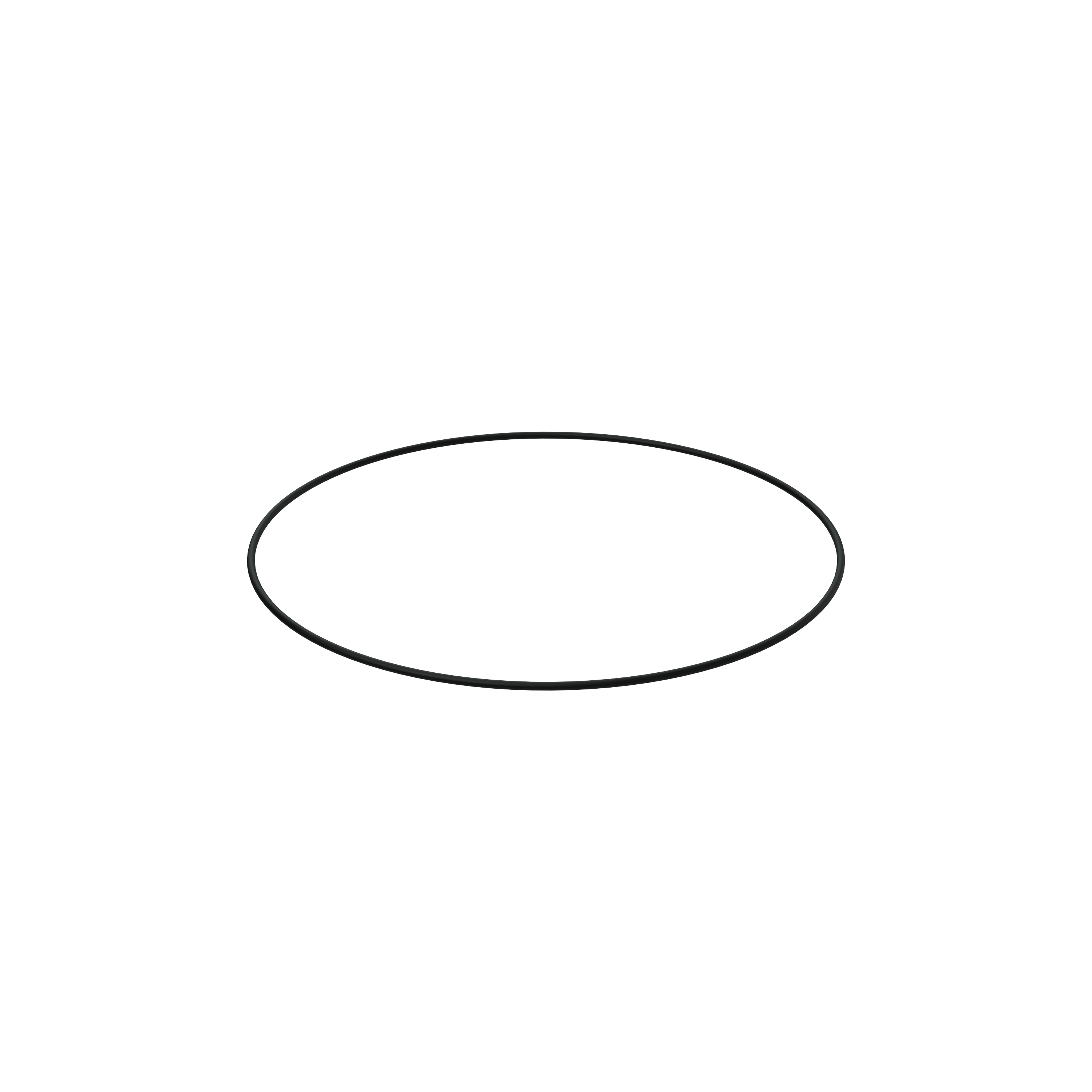 Изображение товара O-ring
