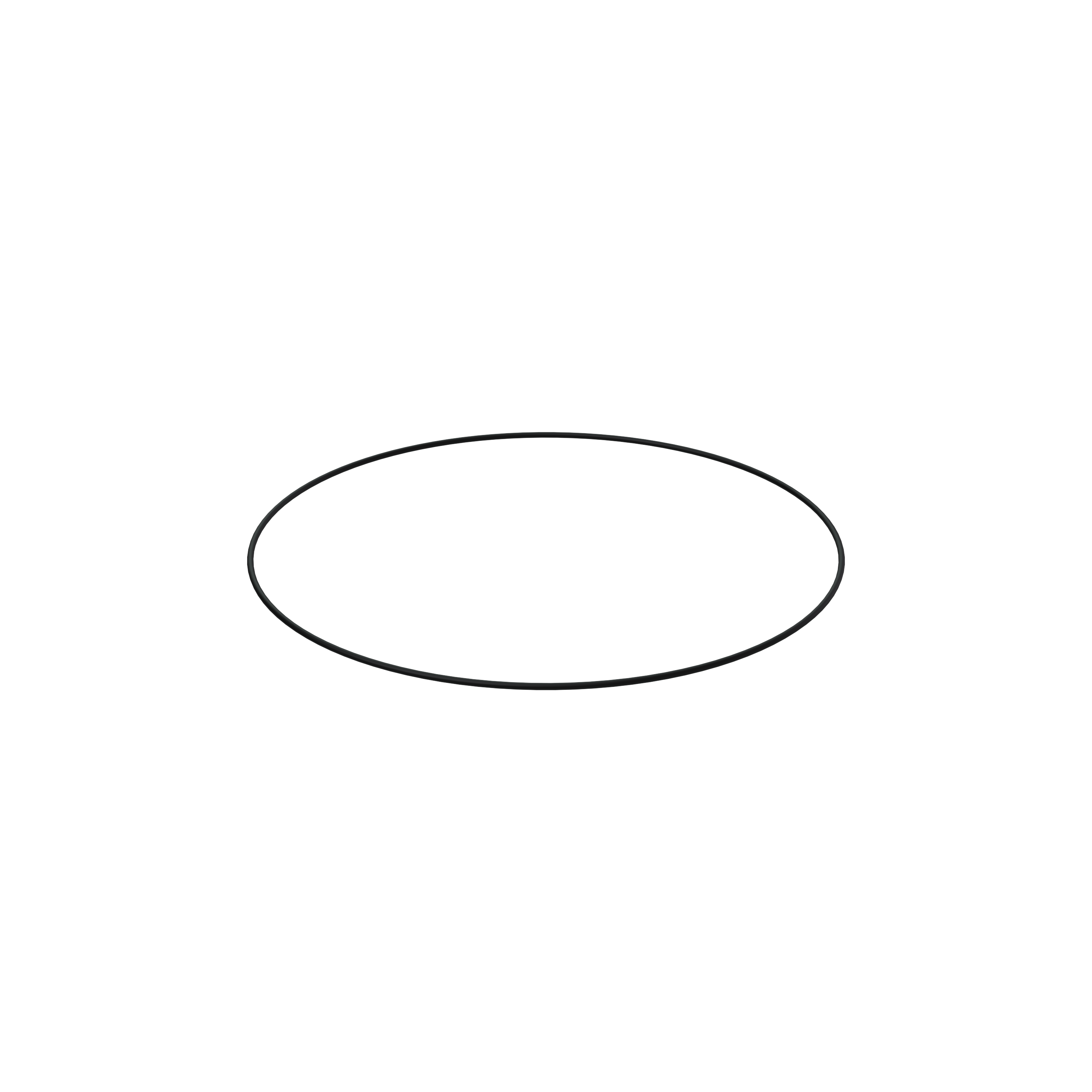Изображение товара O-ring