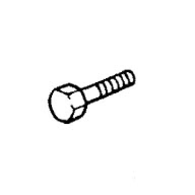 Изображение товара SCREW (45MM)