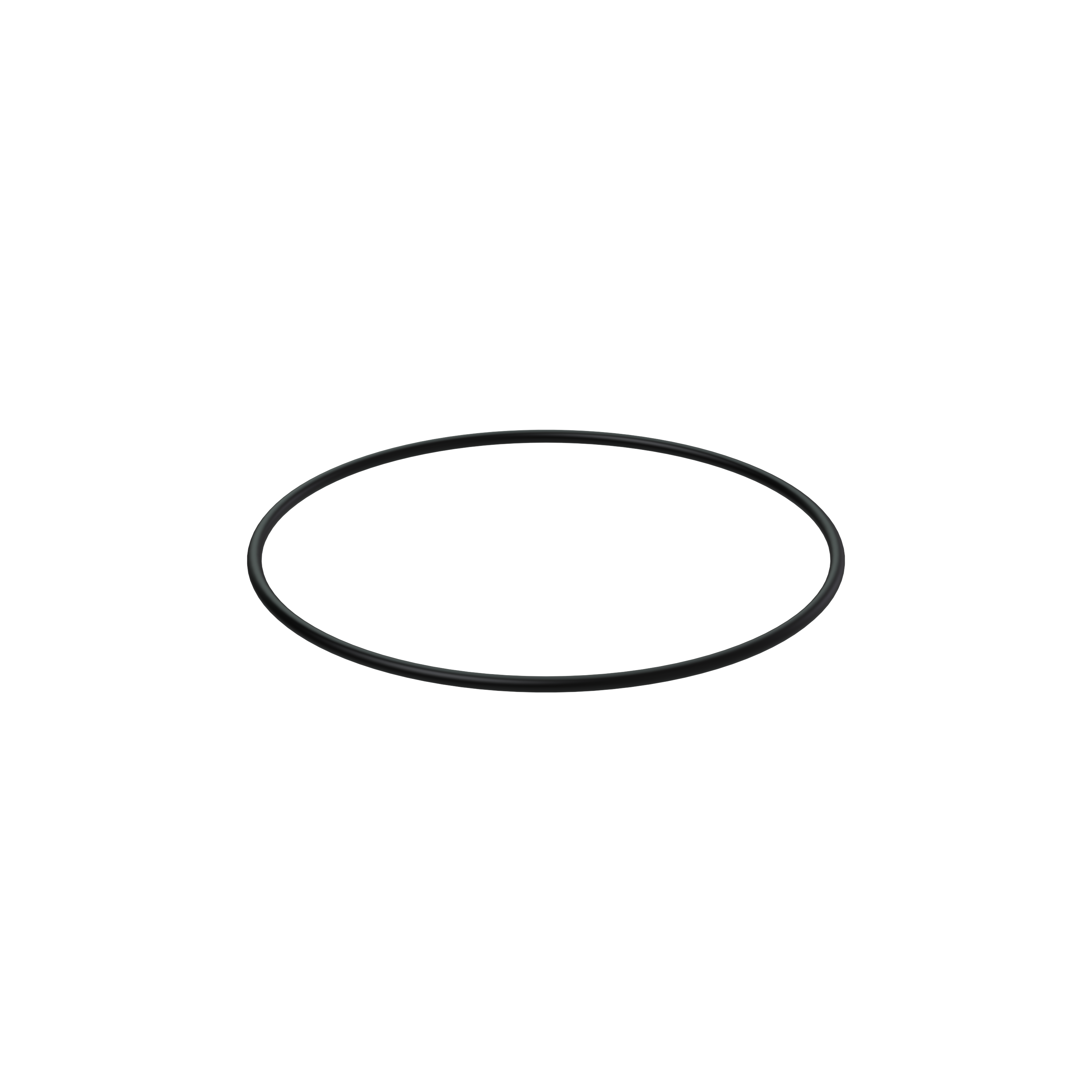 Изображение товара O-ring