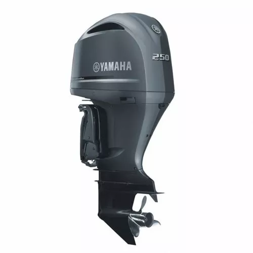 Изображение товара Лодочный мотор Yamaha F 250 DETX (Ямаха)