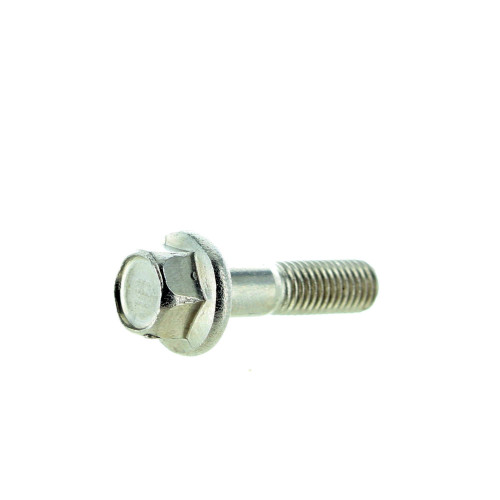 Изображение товара Винт & Сальник (SCREW & SEAL)