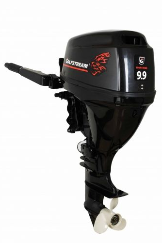 Изображение товара Лодочный мотор Golfstream F9.9 ABMS Enduro (карбюратор)