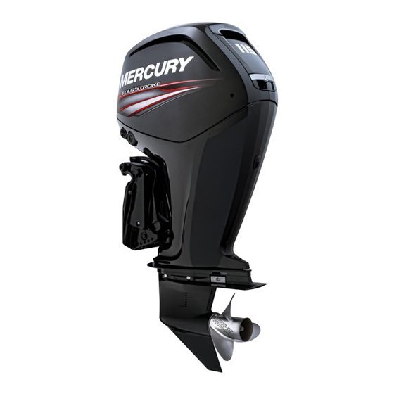 Изображение товара Лодочный мотор Mercury F115 ELPT EFI
