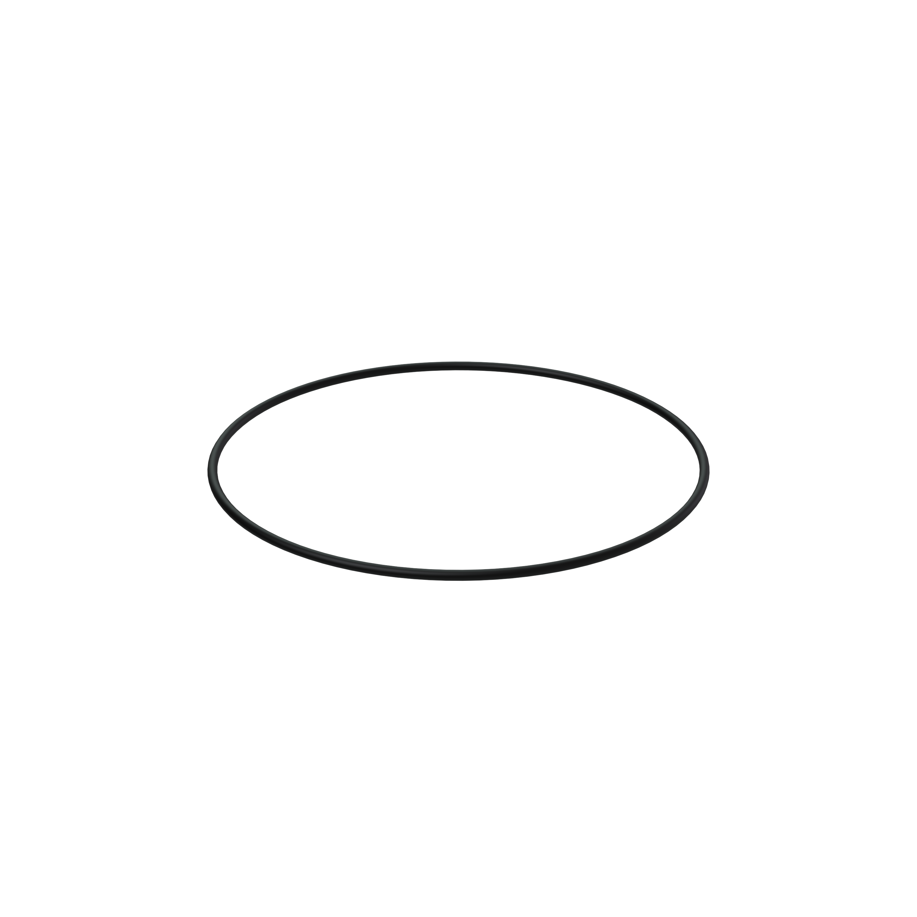 Изображение товара O-ring