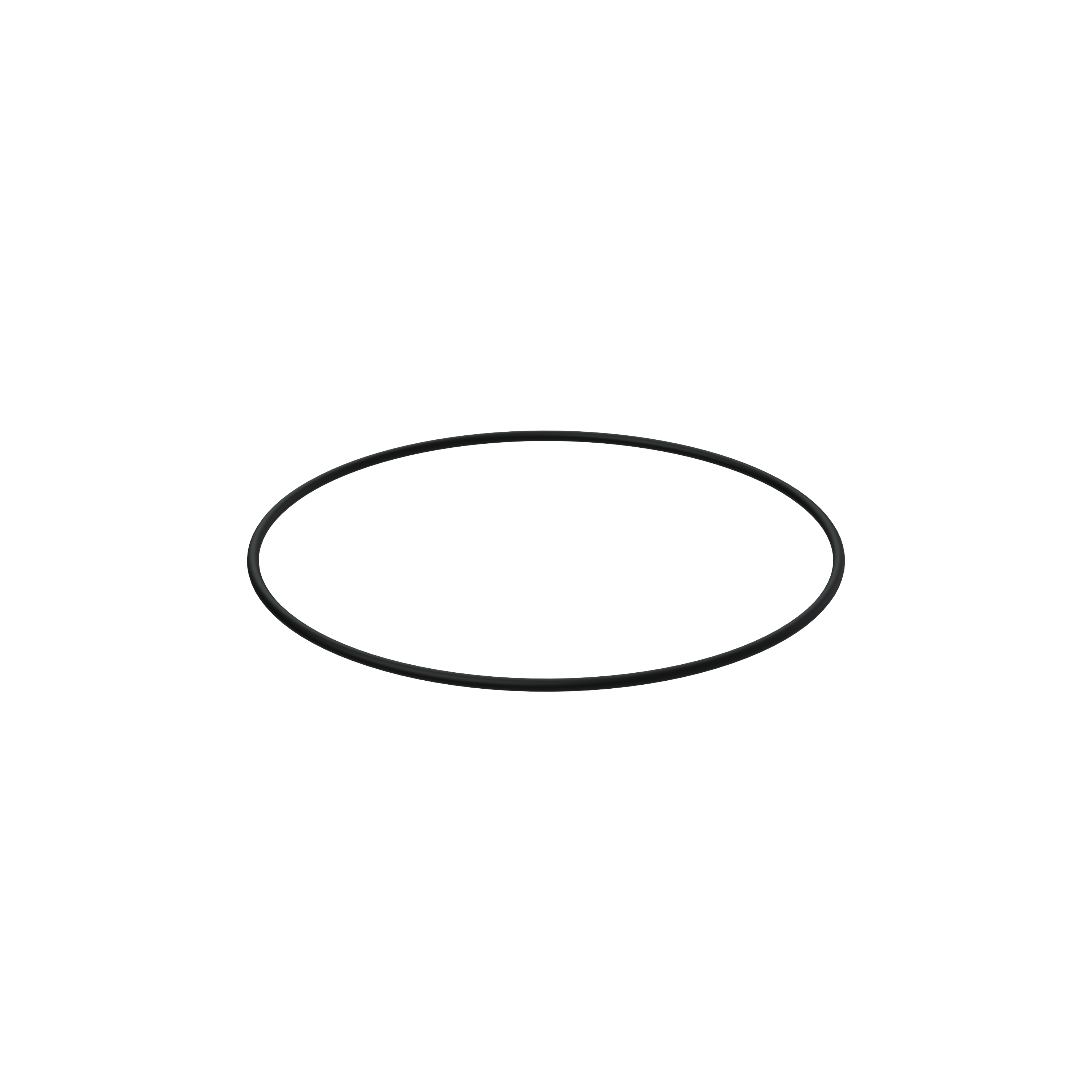 Изображение товара O-ring