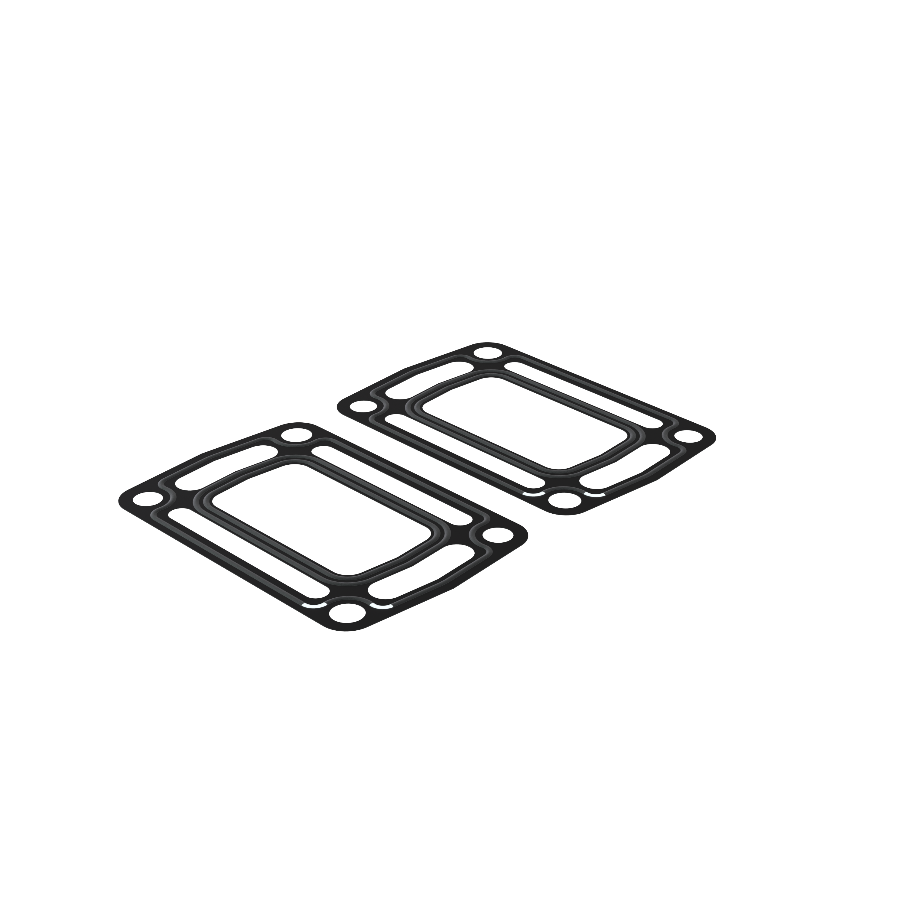 Изображение товара Gasket kit
