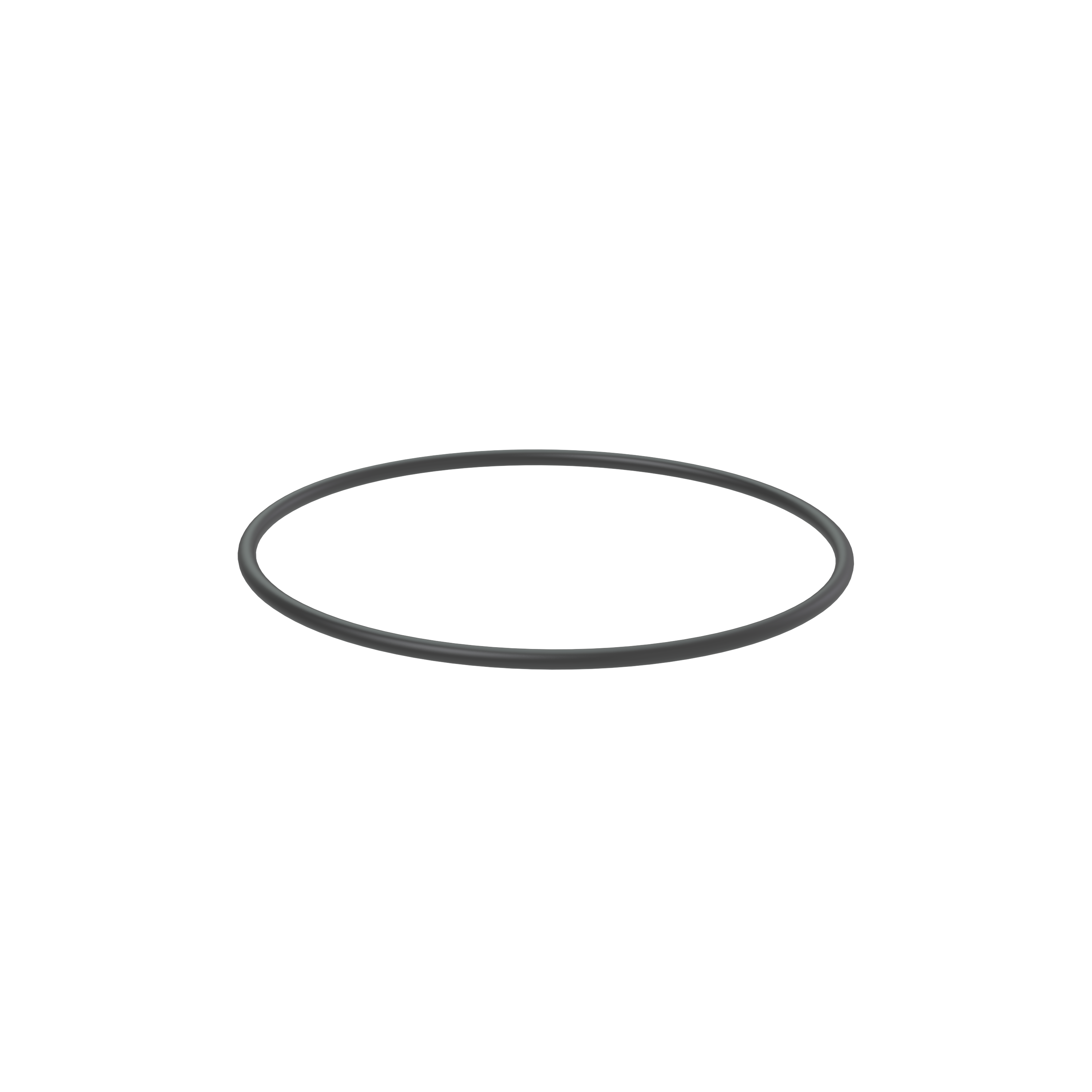 Изображение товара O-ring