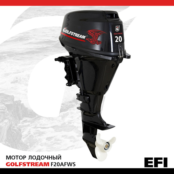 Изображение товара Лодочный мотор Golfstream F20 AFWS-EFI
