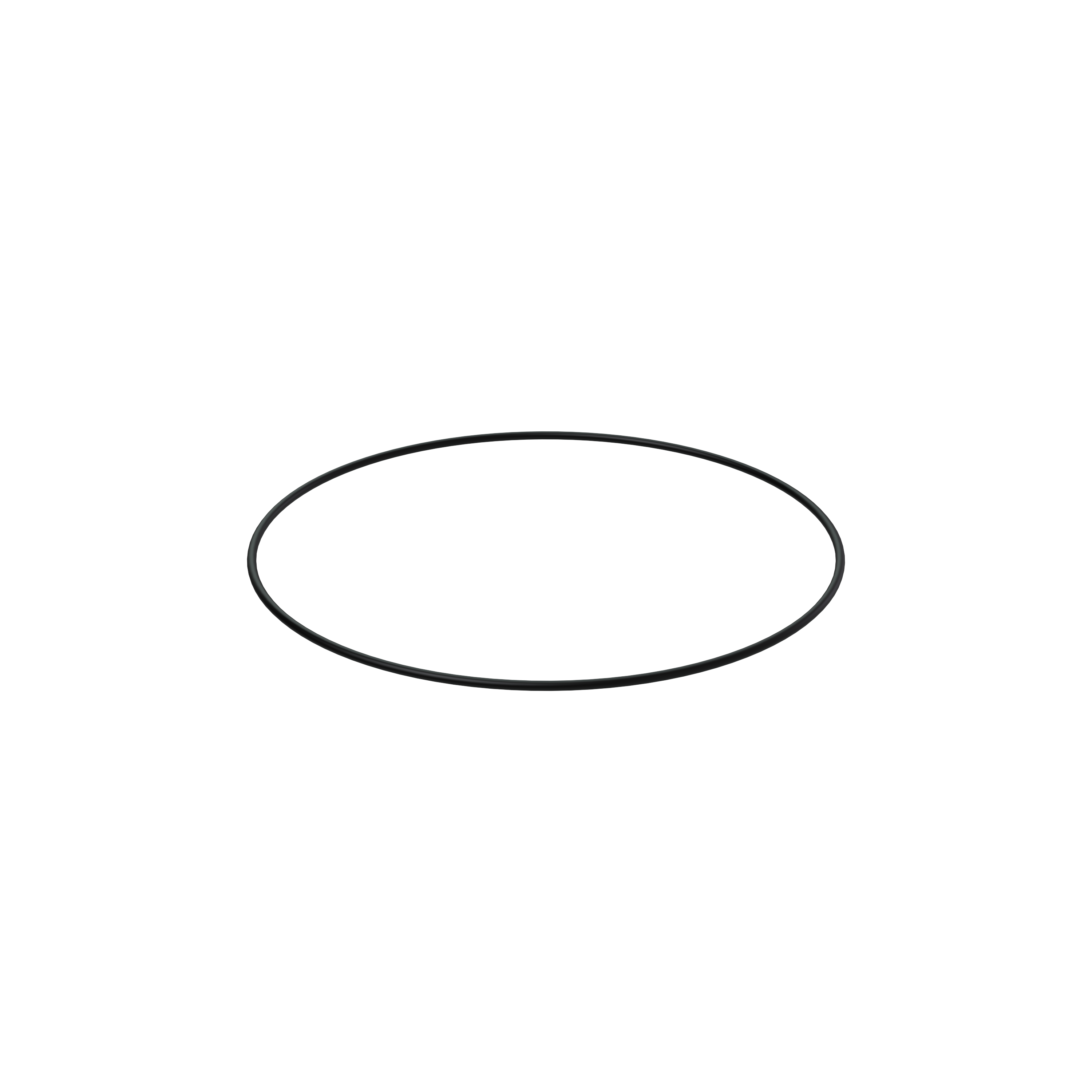 Изображение товара O-ring