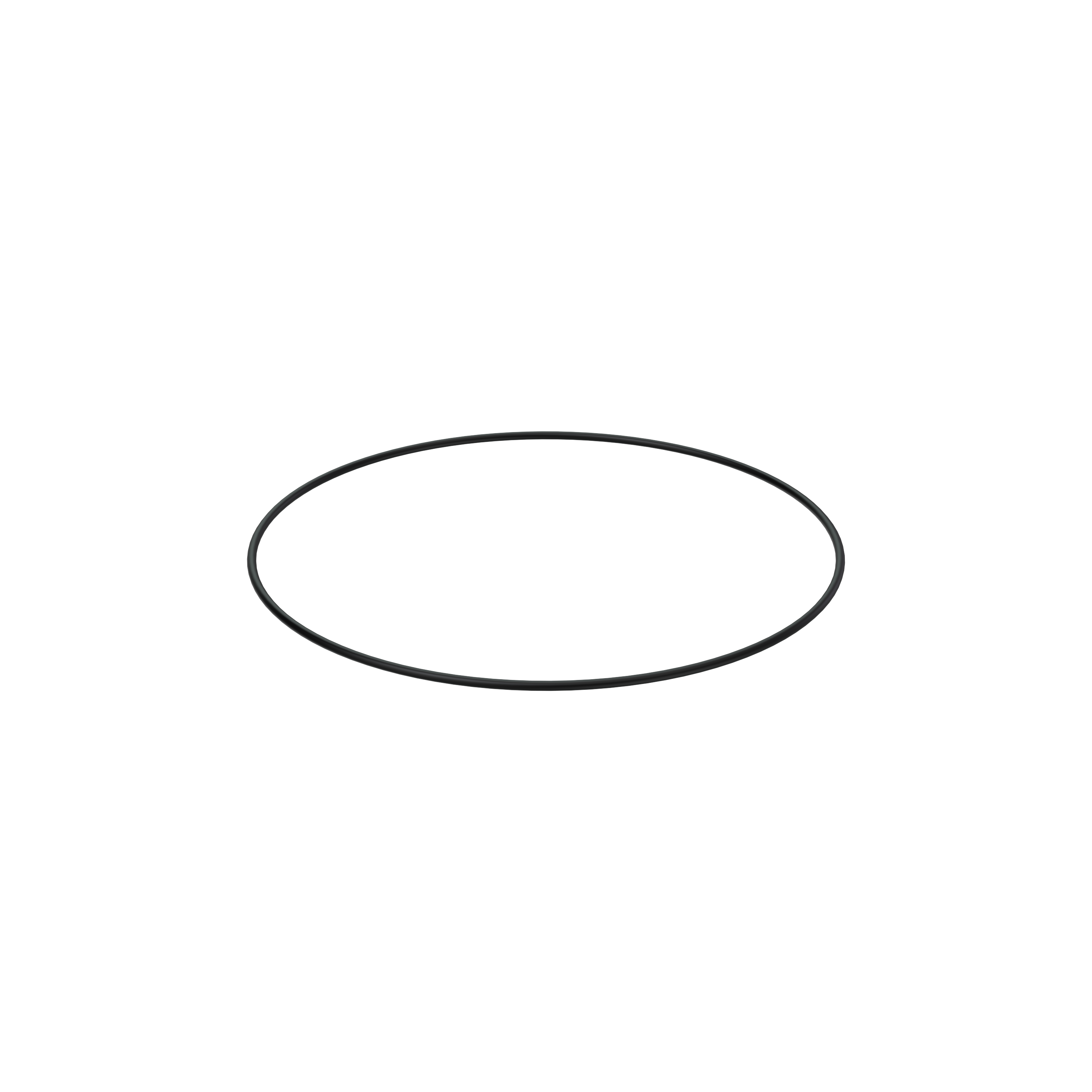 Изображение товара O-ring
