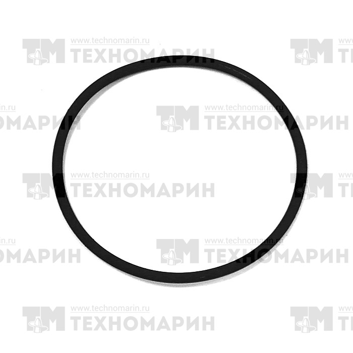 Изображение товара Кольцо уплотнительное BRP 008-599-16