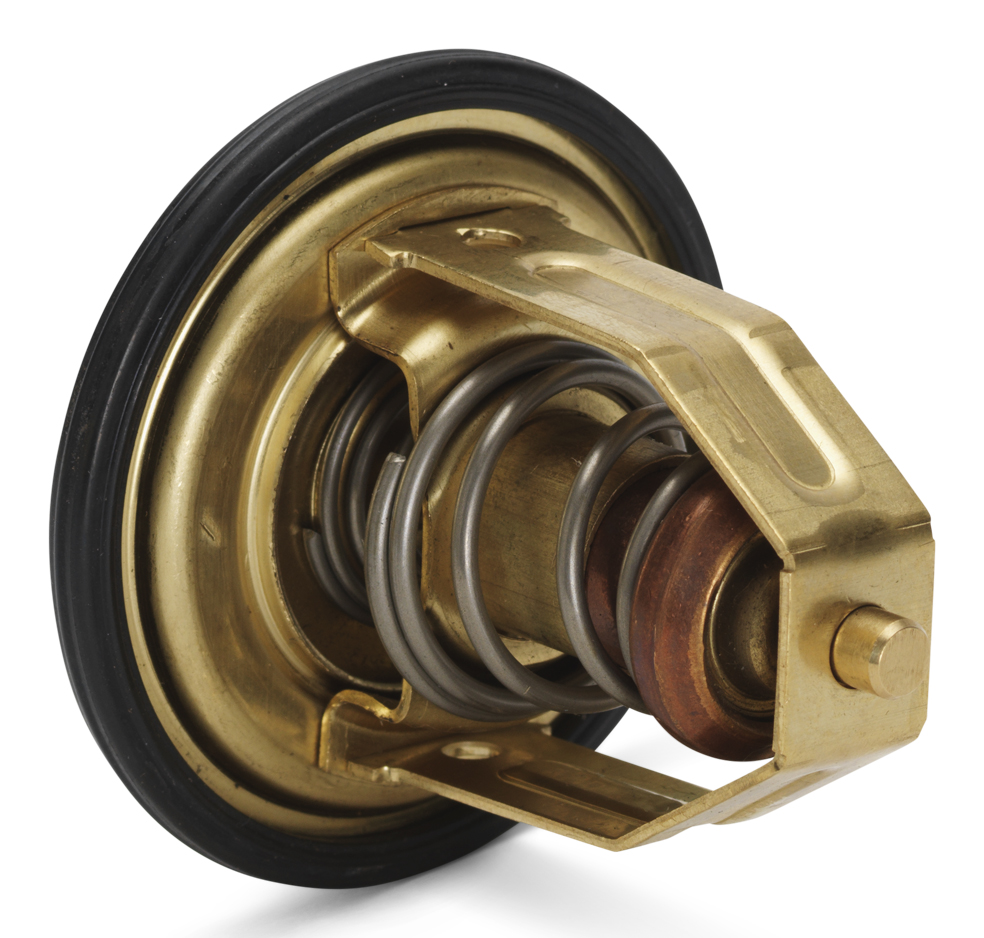 Изображение товара Thermostat kit