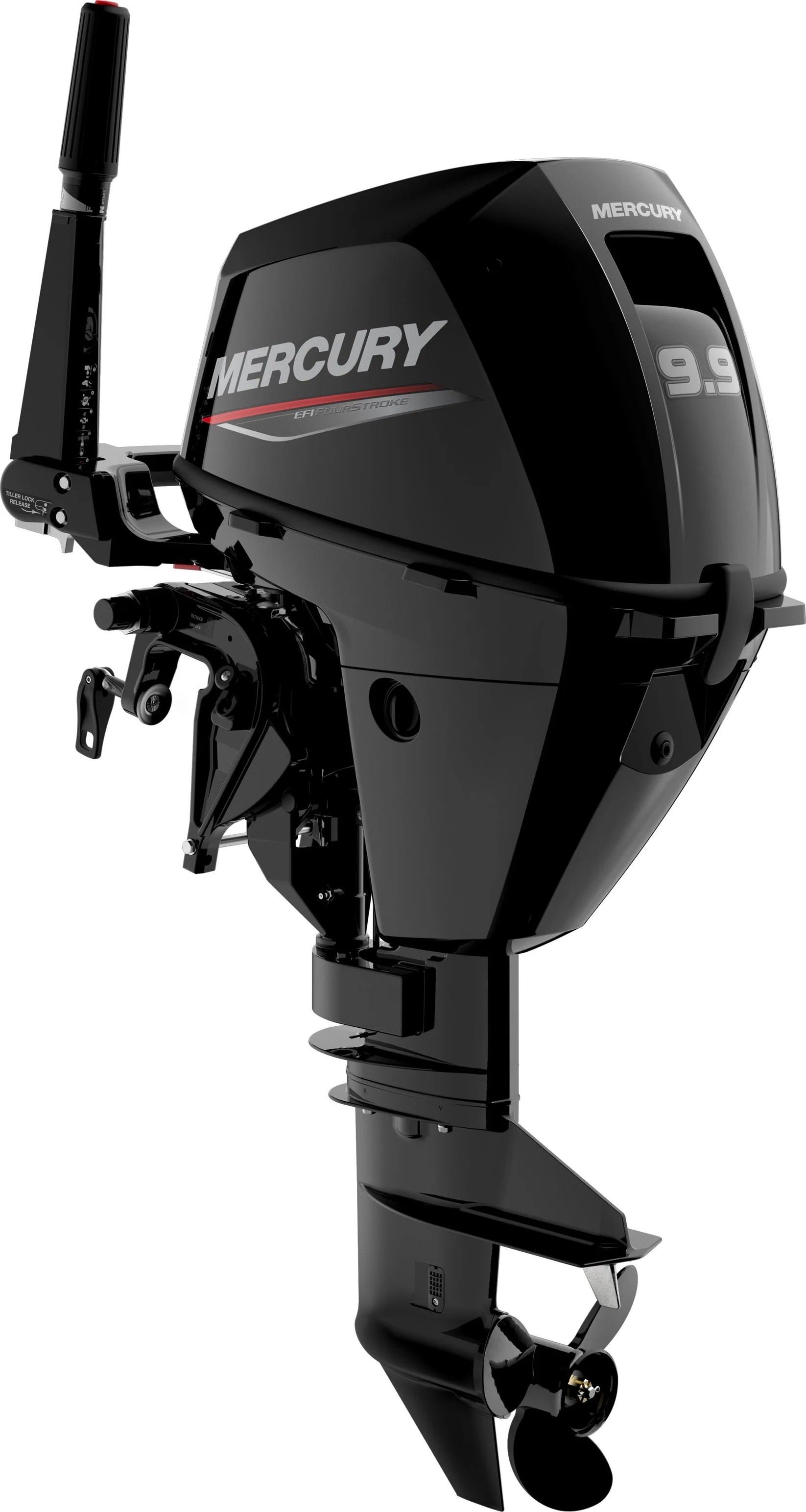 Изображение товара Лодочный мотор Mercury F9.9MH EFI