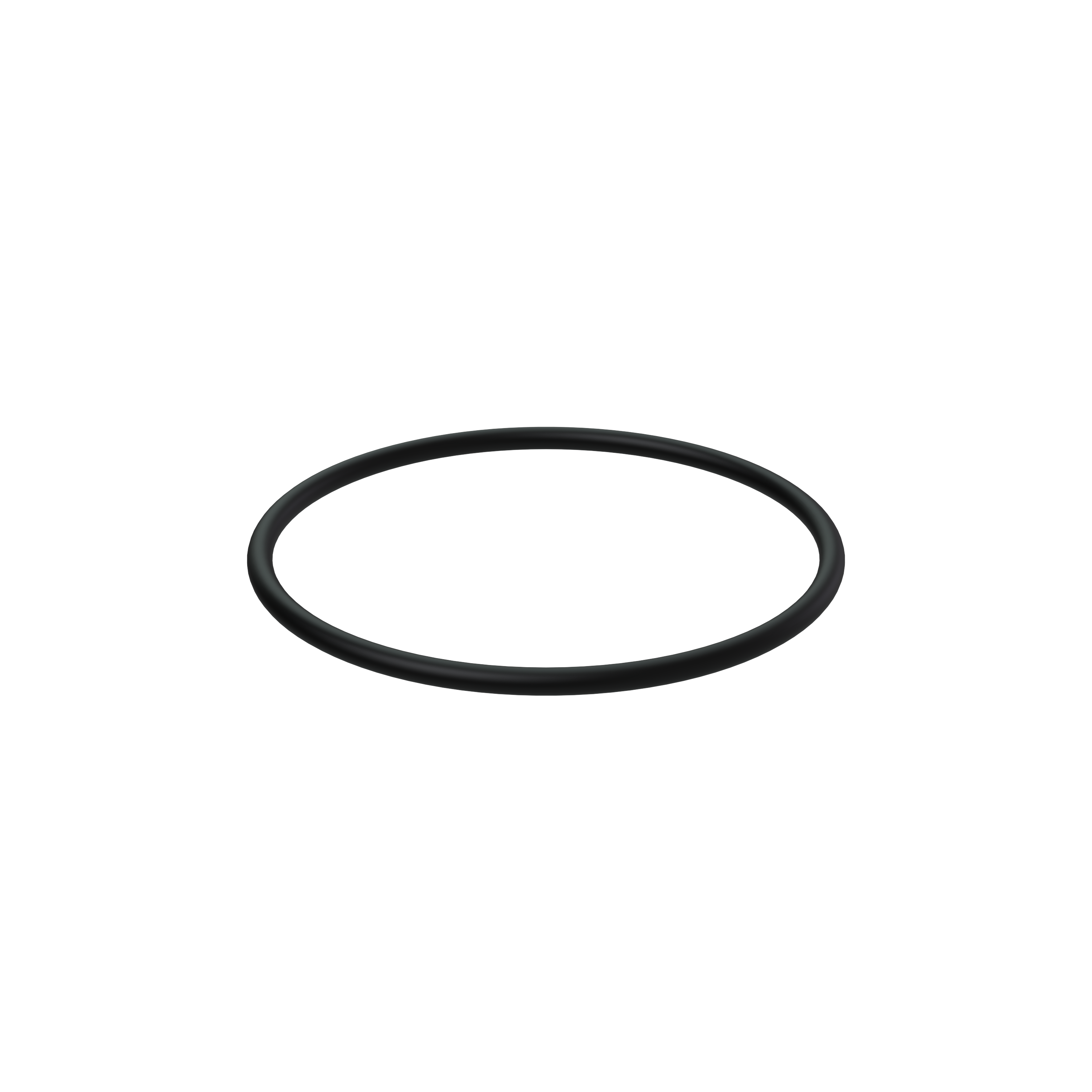 Изображение товара O-ring