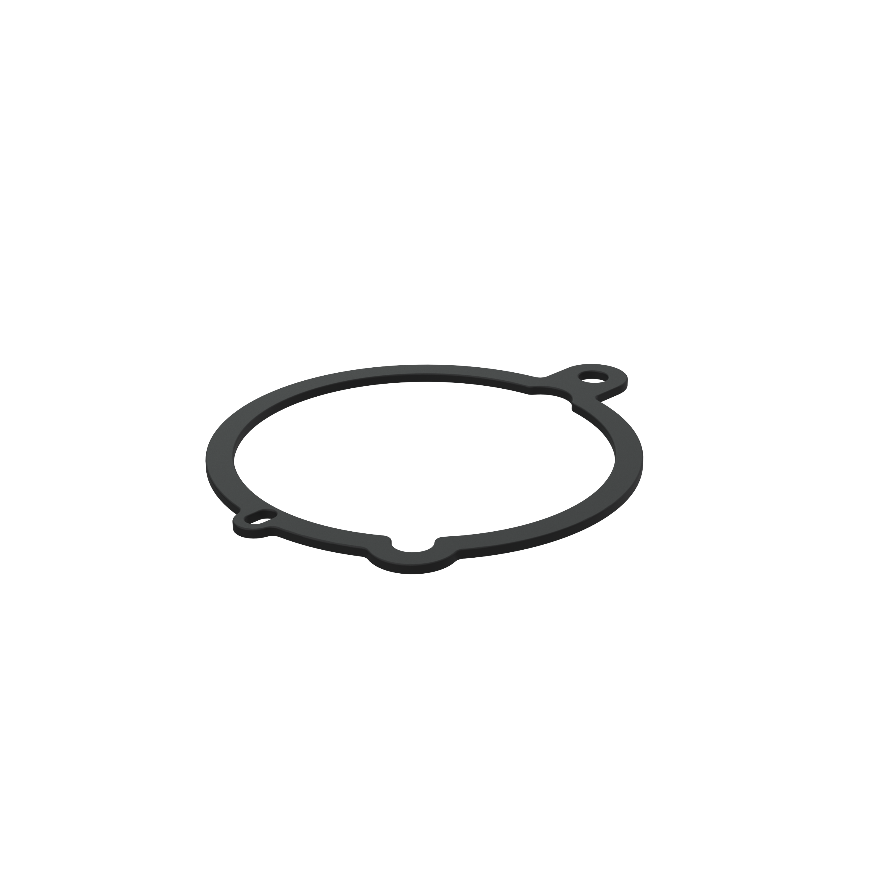 Изображение товара Gasket
