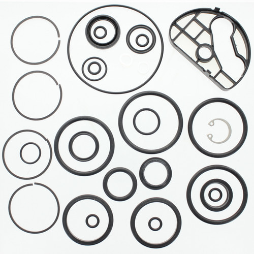 Изображение товара Уплотнительное кольцо & Комплект сальников (O-RING & SEAL KIT)