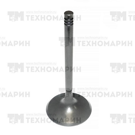 Изображение товара Впускной клапан BRP 1503 010-005