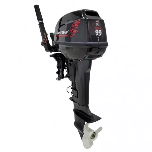 Изображение товара Лодочный мотор Golfstream T 9.9BMS USB (Гольфстрим)