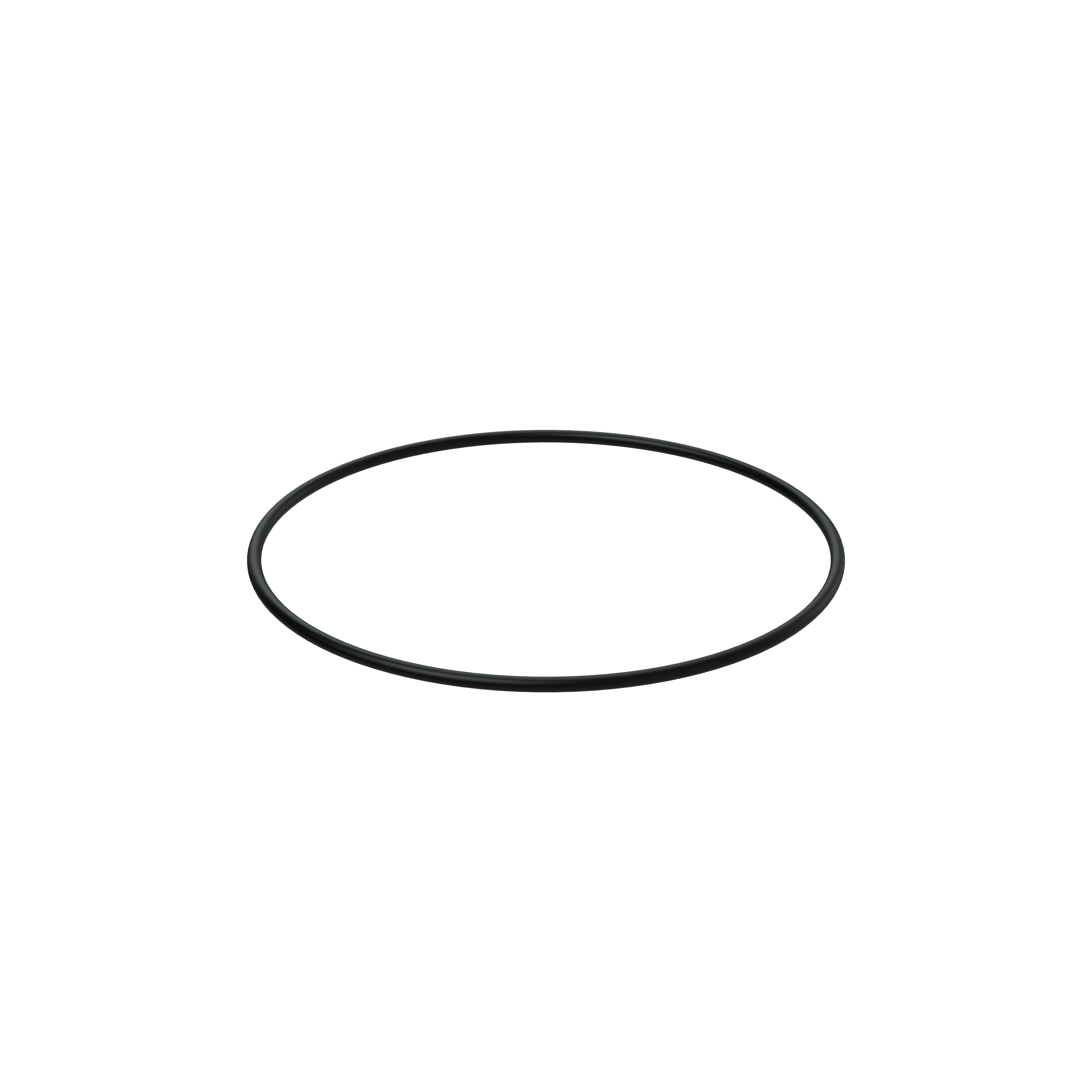 Изображение товара O-ring