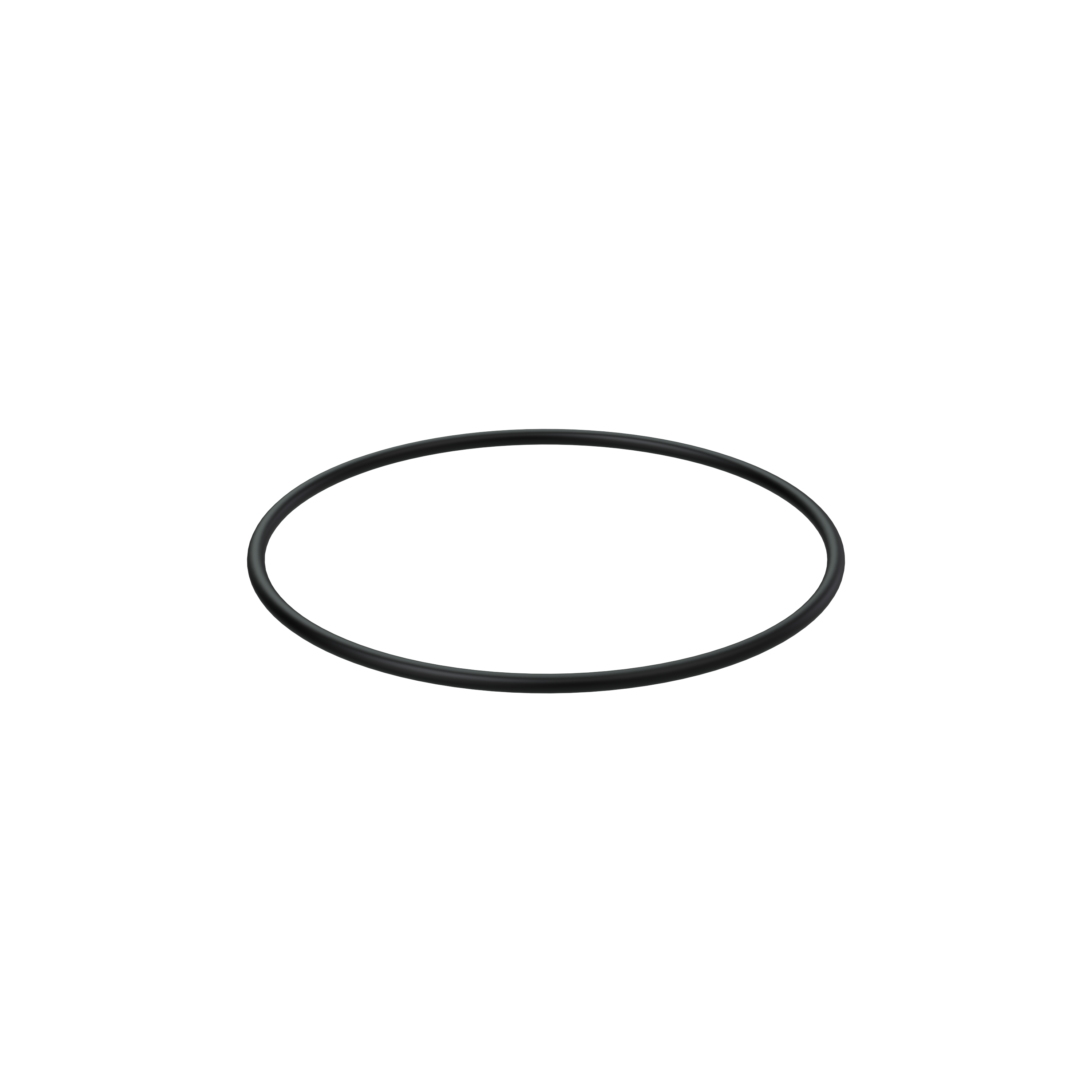 Изображение товара O-ring