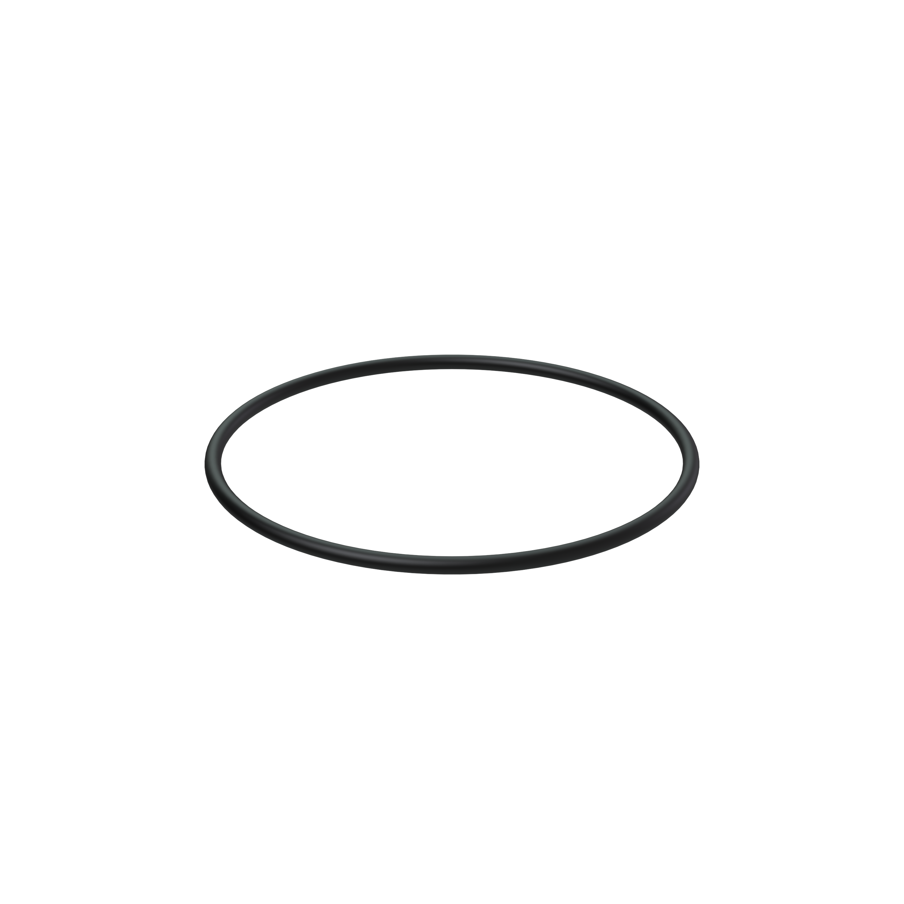 Изображение товара O-ring