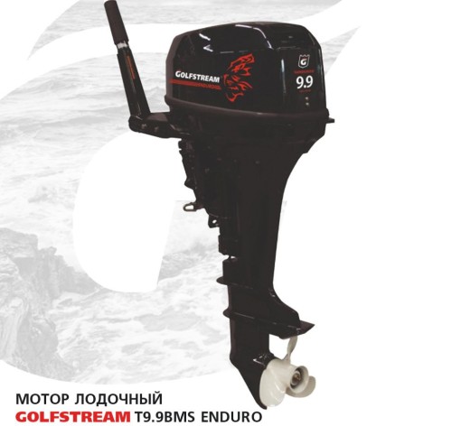 Изображение товара Лодочный мотор GOLFSTREAM TE 9.9 BMS Enduro