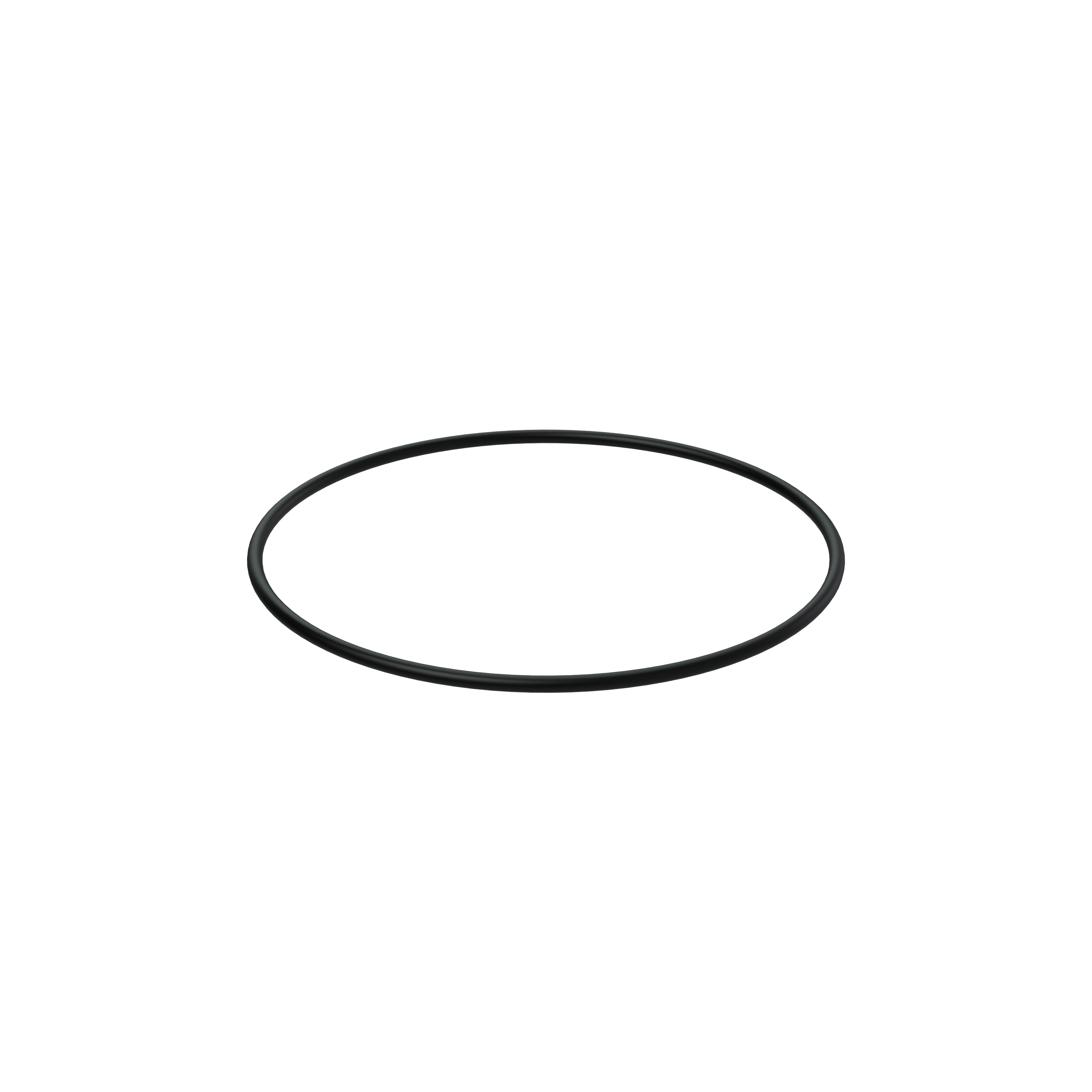Изображение товара O-ring