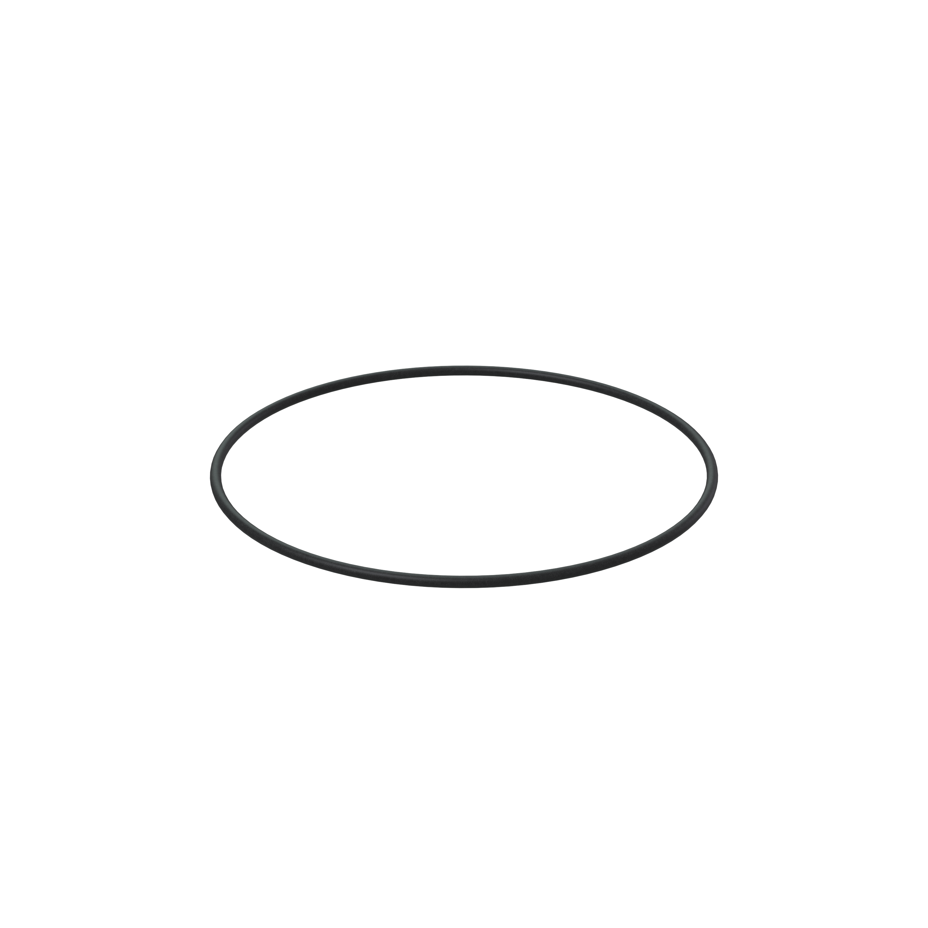 Изображение товара O-ring