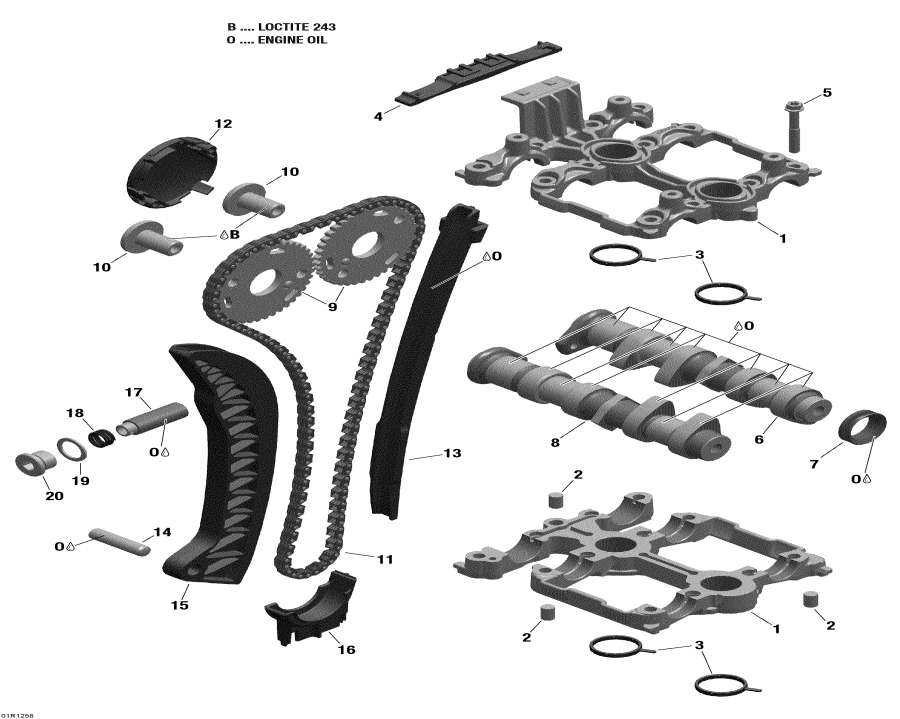 Схема узла 01- Распределительный Вал И Цепь Распредвала (01- Camshafts And Timing Chain)