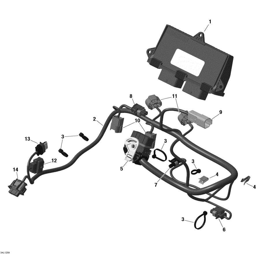 Схема узла 10- Двигатель Жгут Проводов И Electronic Module (10- Engine Harness And Electronic Module)