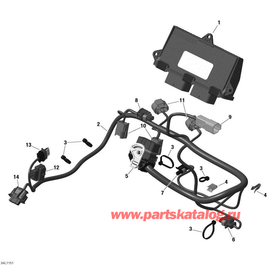 Схема узла 10- Двигатель Жгут Проводов И Electronic Module (10- Engine Harness And Electronic Module)