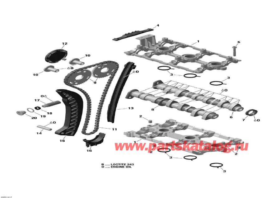 Схема узла 01- Распределительный Вал И Цепь Распредвала (01- Camshafts And Timing Chain)